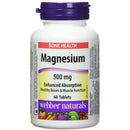 Magnesium Easy Absorb 500mg 60 Tablets