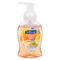 Softsoap Tangerine Treat Hand Soap 258ml