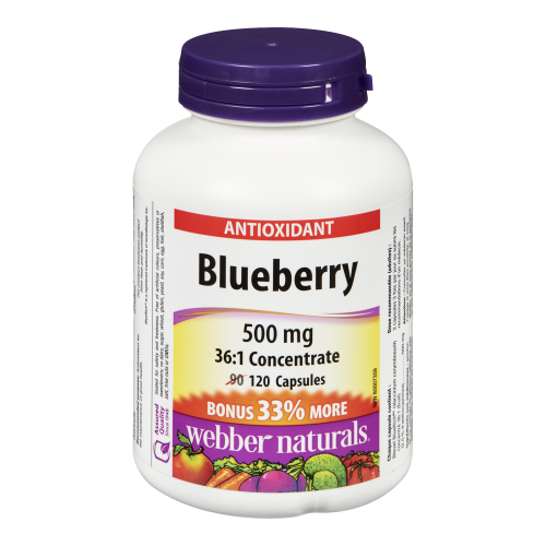 Blueberry 500gm 120 Capsules Bonus