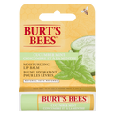 Burt's Bees Cucumber Mint Lip Balm 4.25gm