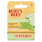 Burt's Bees Cucumber Mint Lip Balm 4.25gm
