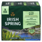 Irish Spring Aloe Mist 3 Bar