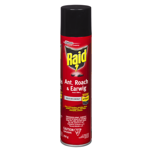 Raid 350g Ant Roach & Earwigs