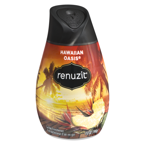 Renuzit Hawaiian Oasis 198gm