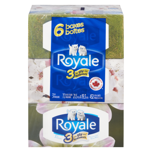 Royale 3 Ply 6 Boxes