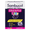 Sambucol Cold & Flu Kids 24 Chewable Tablets
